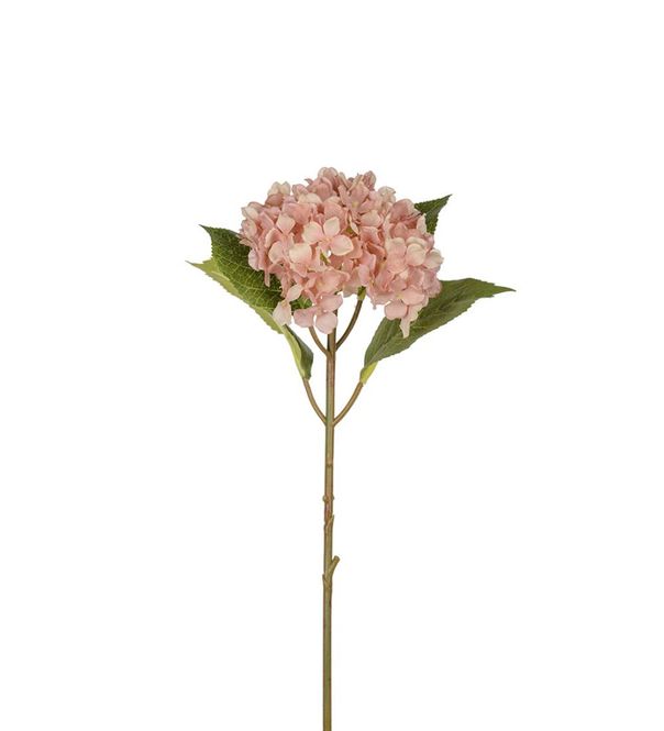 Hovedbilde Mr Plant Hortensia Lys Rosa 40 cm