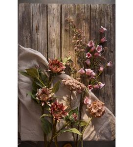 Hovedbilde Mr Plant Bl&aring;klokke Rosa