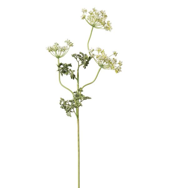 Mr Plant Skjermplante Hvit